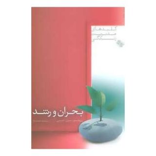 کتاب بحران و رشد اثر بیژن امینی انتشارات صابرین