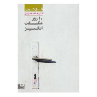 کتاب 10 روز شگفت انگیز اثر الری کوئین انتشارات نشر ویدا