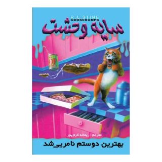 کتاب بهترین دوستم نامریی شد اثر آر ال استاین انتشارات نشر ویدا