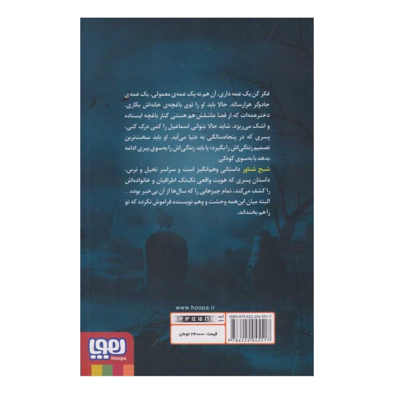 کتاب شبح شناور اثر محمدرضا شمس انتشارات هوپا