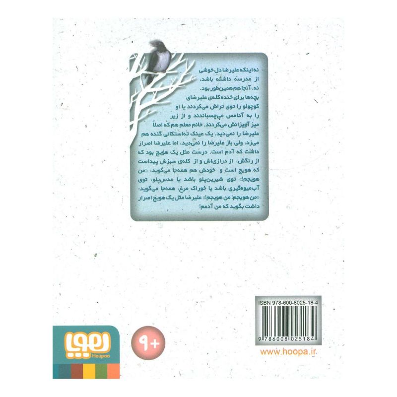 کتاب آب نبات چوبی آویزان و هویج های سرگردان اثر نوید سیدعلی اکبر انتشارات هوپا