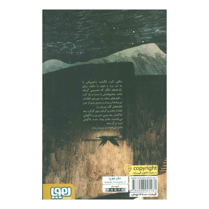کتاب پسر زن جادوگر اثر کلی بارن هیل انتشارات هوپا