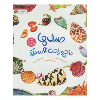 کتاب صدف ها دنج و راحت هستند اثر دایانا هاتس استون انتشارات مهرسا