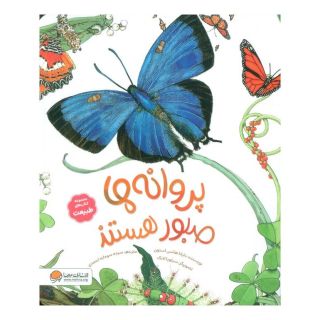 کتاب پروانه ها صبور هستند اثر دایانا هاتس استون انتشارات مهرسا