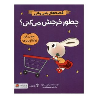کتاب چطور خرجش می کنی؟ اثر سیندر مکلاد انتشارات مهرسا