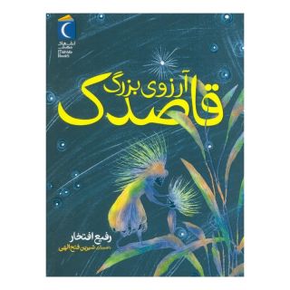 کتاب آرزوی بزرگ قاصدک اثر رفیع افتخار انتشارات محراب قلم