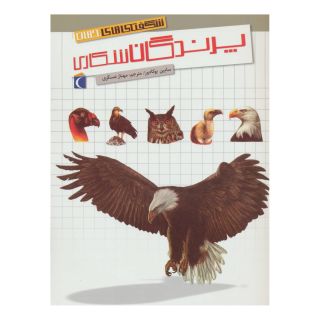 کتاب پرندگان شکاری اثر سابین بوکادور انتشارات محراب قلم
