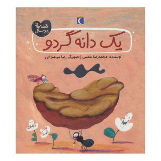کتاب یک دانه گردو اثر محمدرضا شمس انتشارات محراب قلم