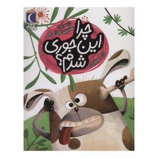 کتاب چرا این جوری شدم؟ اثر لاله جعفری انتشارات محراب قلم