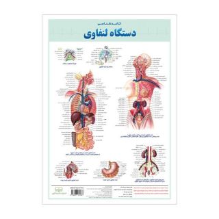 کالبدشناسی دستگاه  لنفاوی انتشارات اندیشه کهن