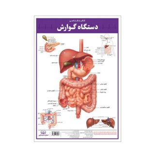 کالبدشناسی دستگاه  گوارش انتشارات اندیشه کهن