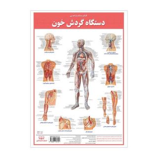 کالبدشناسی دستگاه  گردش خون انتشارات اندیشه کهن